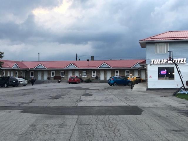 Tulip Motel Woodstock Exterior photo